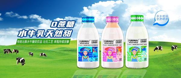 廣西月亮阿媽乳業有限公司